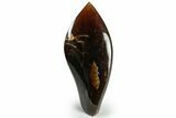 Tall, Free-Standing Polished Indonesian Blue Amber #311492-1